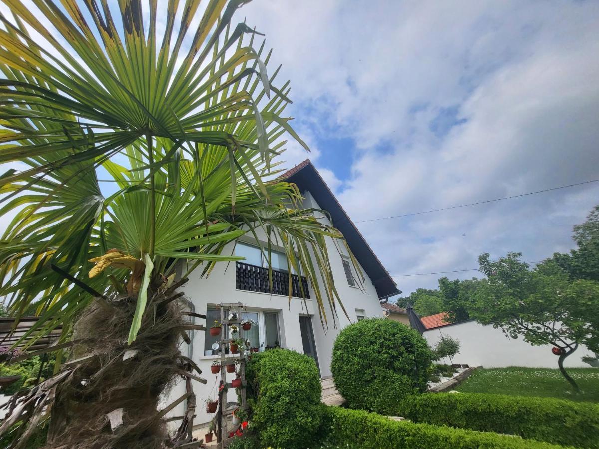 Vila Jovana ヴルドニーク エクステリア 写真