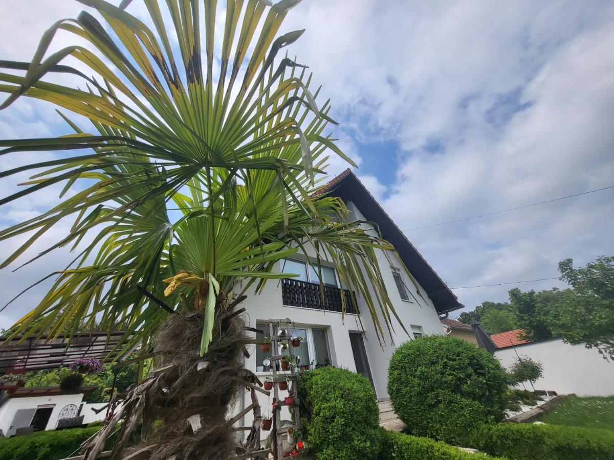Vila Jovana ヴルドニーク エクステリア 写真
