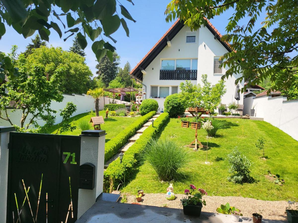 Vila Jovana ヴルドニーク エクステリア 写真
