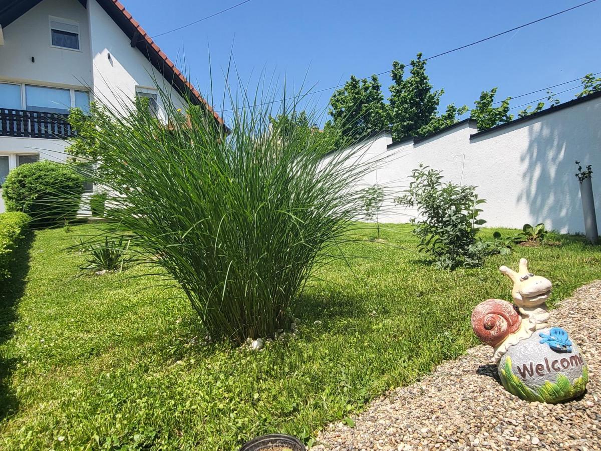 Vila Jovana ヴルドニーク エクステリア 写真