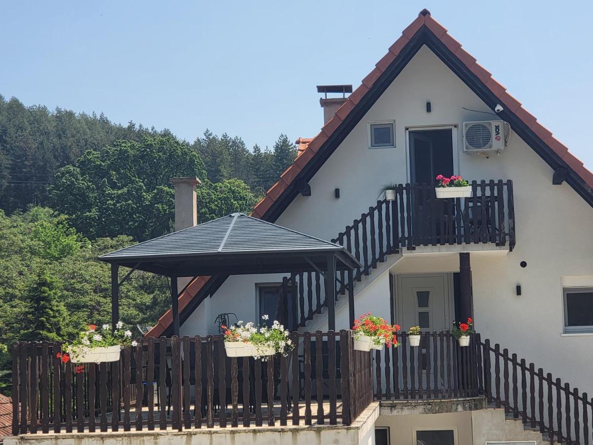 Vila Jovana ヴルドニーク エクステリア 写真