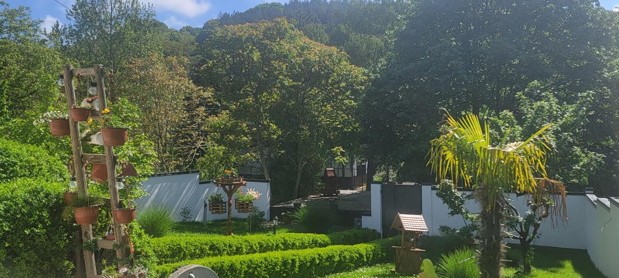 Vila Jovana ヴルドニーク エクステリア 写真