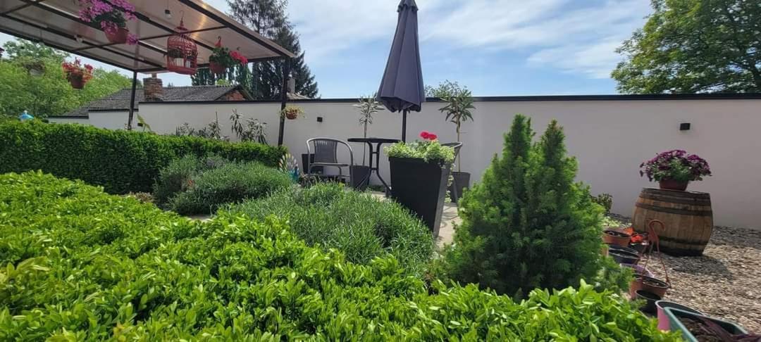 Vila Jovana ヴルドニーク エクステリア 写真