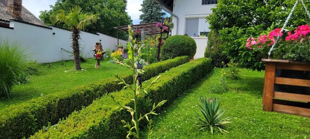 Vila Jovana ヴルドニーク エクステリア 写真