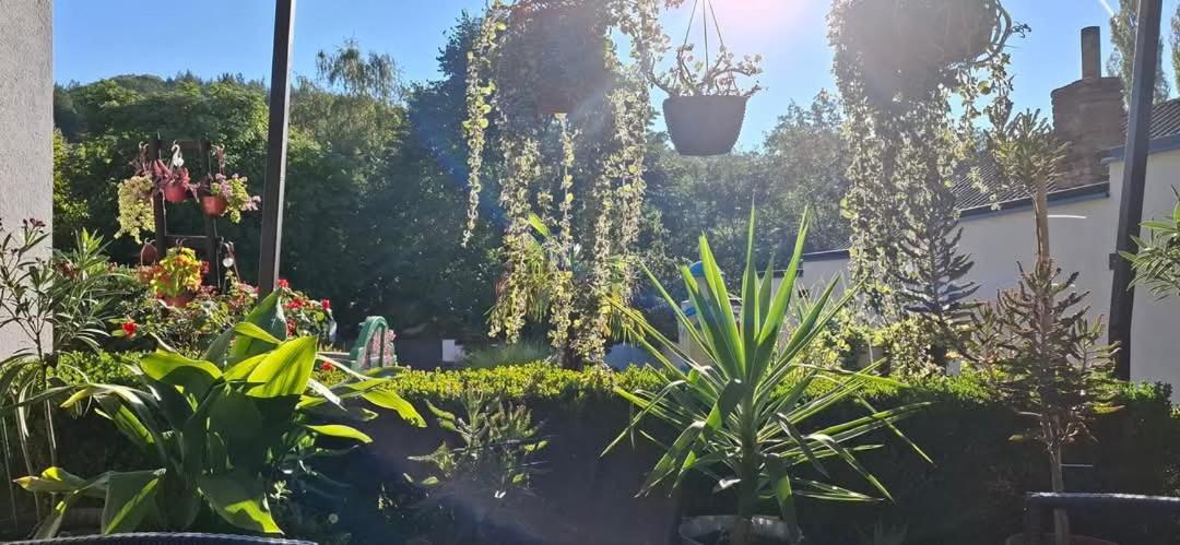 Vila Jovana ヴルドニーク エクステリア 写真