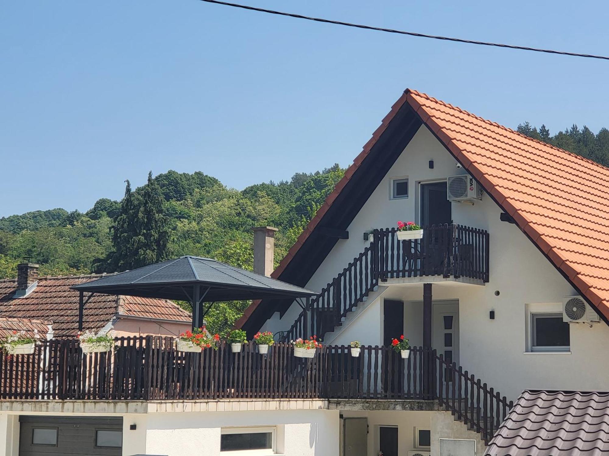 Vila Jovana ヴルドニーク エクステリア 写真